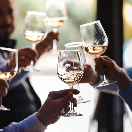 نوفوتيل سنتر ويلسون 4* تولوز