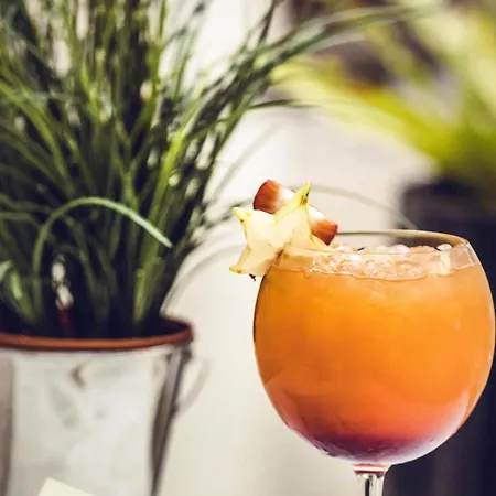 Novotel Centre Wilson Toulouse