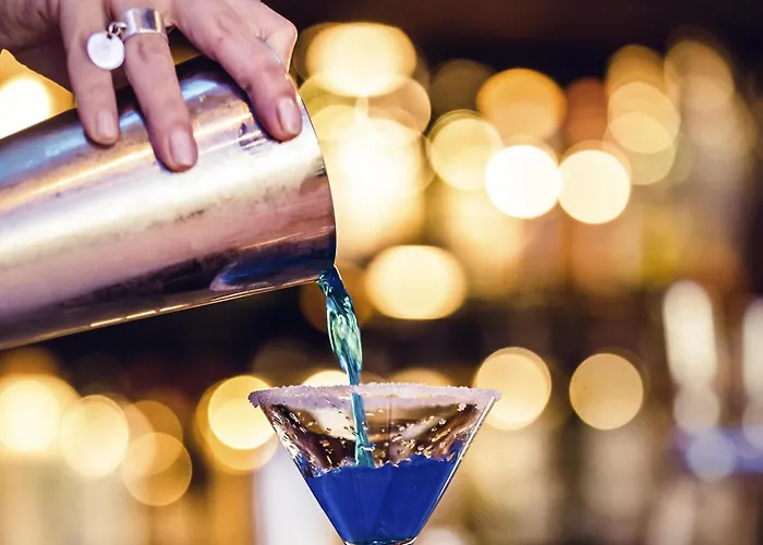 ホテル ノボテル サントル ヴィルソン トゥールーズ